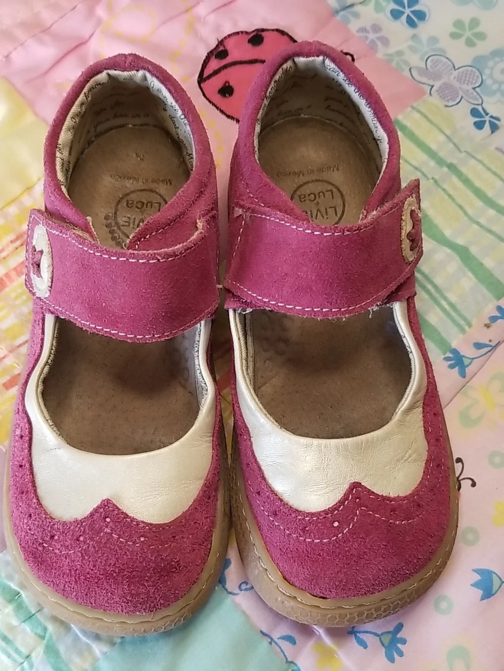 Livie & Luca Suede Mary Jane Shoes with Cream Accents Size 13 Tootles